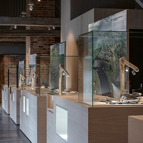 Stone Age and Contemporary Museum 