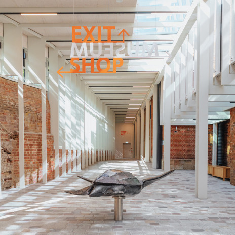 MMM Meeresmuseum 5