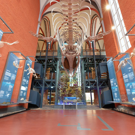 MMM Meeresmuseum 1