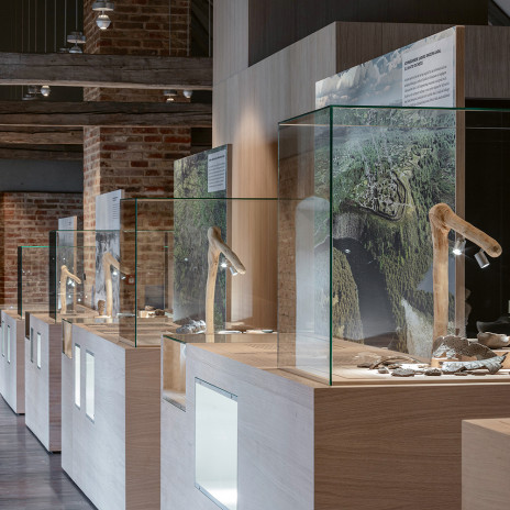 Museum für Steinzeit und Gegenwart 2